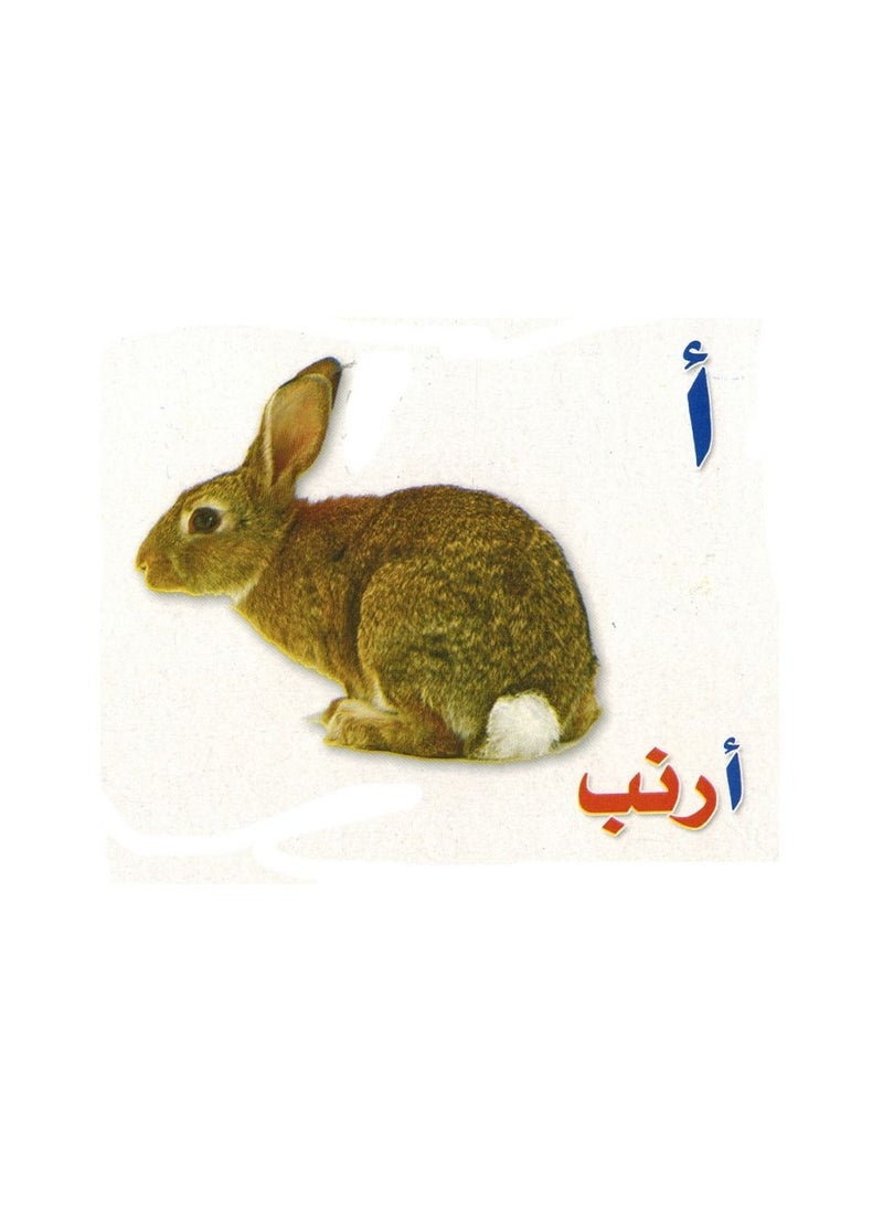 Flash Educational Cards Arabic Alphabet  - Image 1