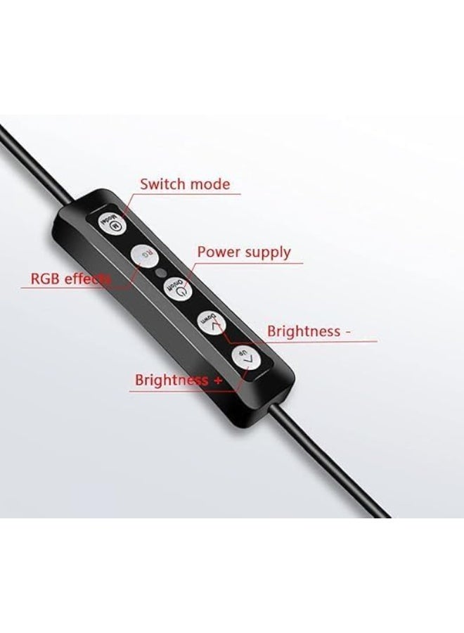 MUNTAQI RGB LED Soft Ring Light MJ33 with Tripod Stand & Phone Holder – 10" Dimmable Beauty Ringlight with 26 RGB Modes, 3 Color Temperatures, Remote Control for Makeup, Vlogging, TikTok, YouTube - Image 4