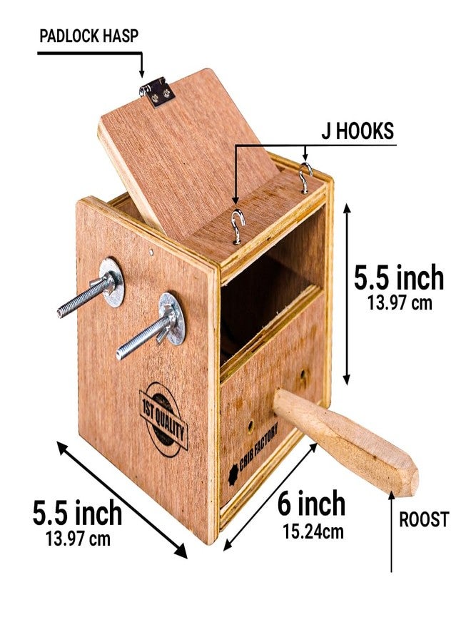 CRIB FACTORY Strong Breeding Box for All Finches Plywood | for Star Finch, Zebra Finch, BengaleseFINCH | 5.5x5.5x6 INCH - Image 2