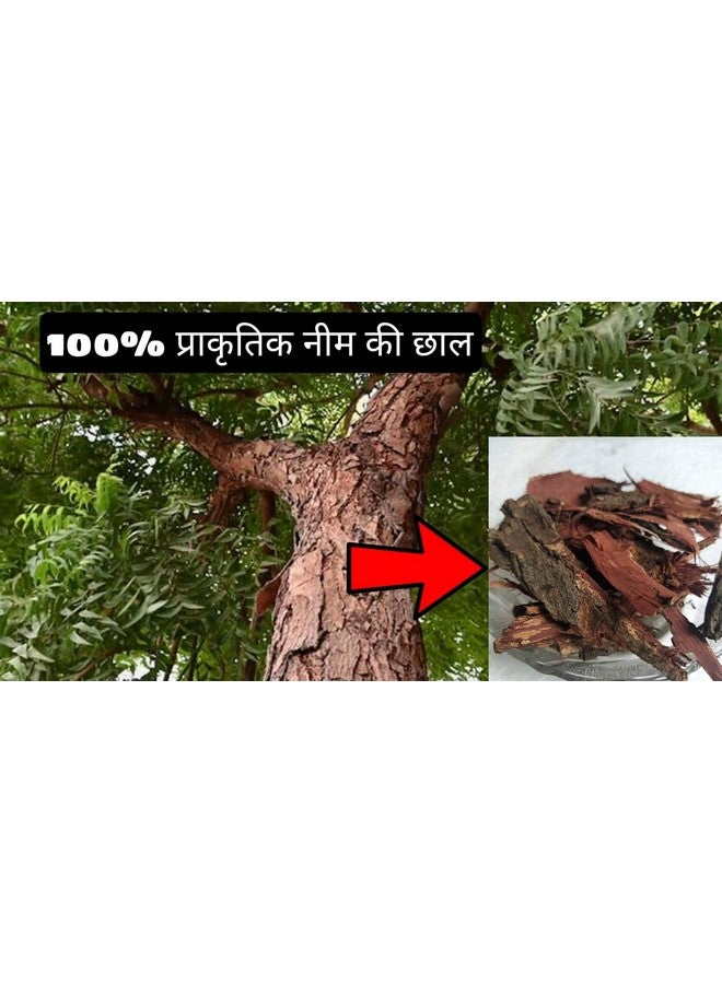 RUKDA® Organic Neem Bark/Neem ki Chaal/Azadirachta Indica/Natural Neem Chhal/Neem Chaal/Neem Bark/Nimbaka/Veppam pattai (400 gm) - Image 1