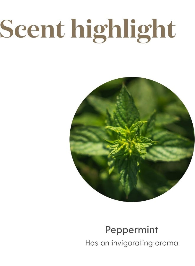 Young Living Essential Oil Peppermint 5 ml - Image 4