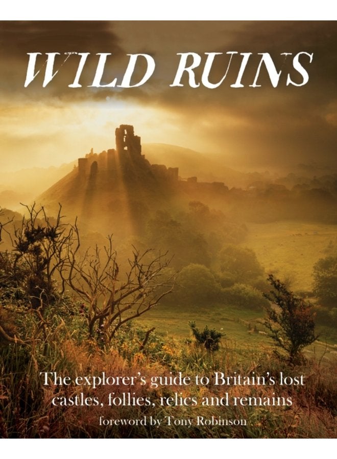 Wild Ruins The Explorer s Guide to Britain Lost Castles Follies Relics and Remains - Paperback