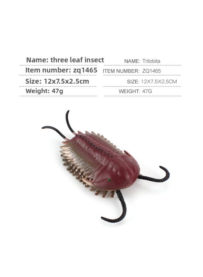 Hot Sale Ancient Marine Life Model Head Turtle Strange Shrimp Sea Scorpion Microscopic Seabed Deep Sea Animal Ornaments-Color:ZQ1465 Trilobite 47g  - Image 1