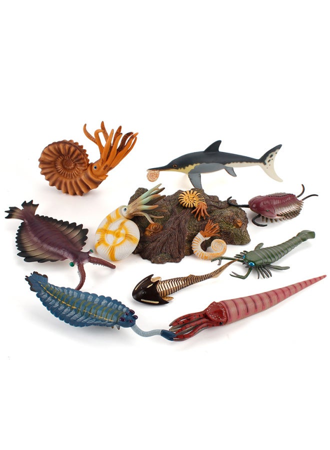 Hot Sale Ancient Marine Life Model Head Turtle Strange Shrimp Sea Scorpion Microscopic Seabed Deep Sea Animal Ornaments-Color:ZQ1465 Trilobite 47g  - Image 2