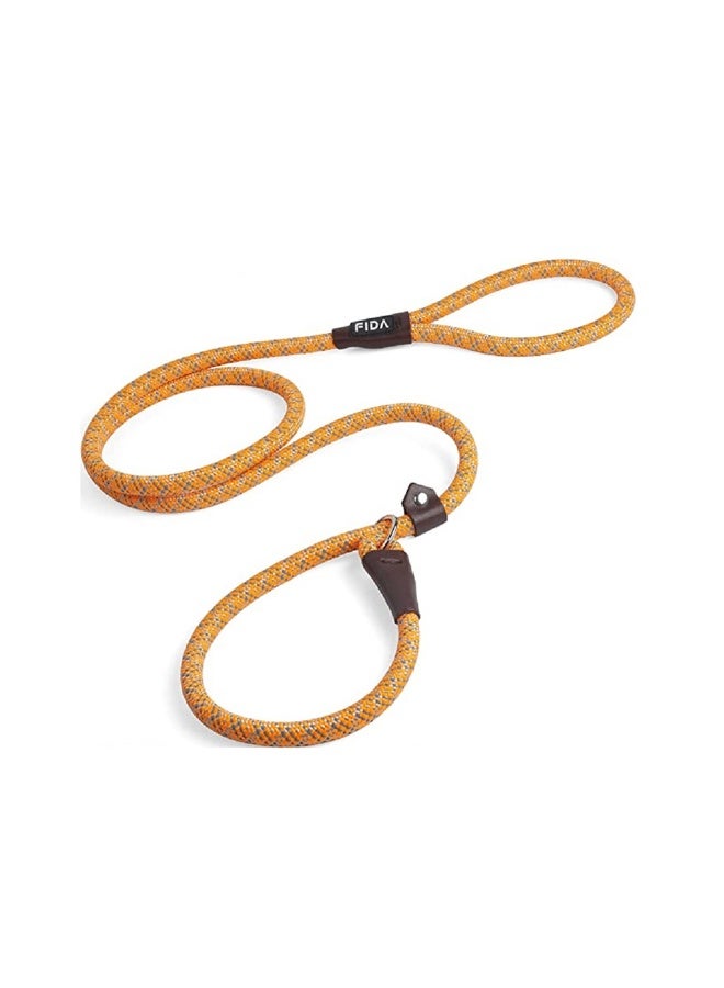 Fida Durable Slip Lead Dog Training Leash - Orange