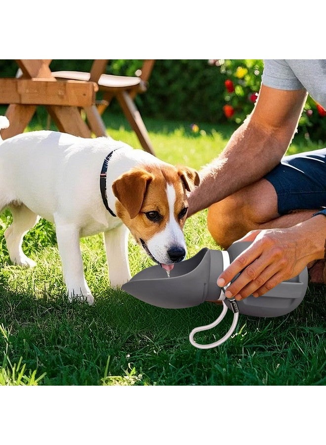 PETLESO Dog Water Bottle, Outdoor Portable Water Dispenser for Dogs Cats, 27 OZ Dog Travel Water Bottle for Walking, Hiking, Leak Proof Water Kettle for Pet Drinking - Image 2