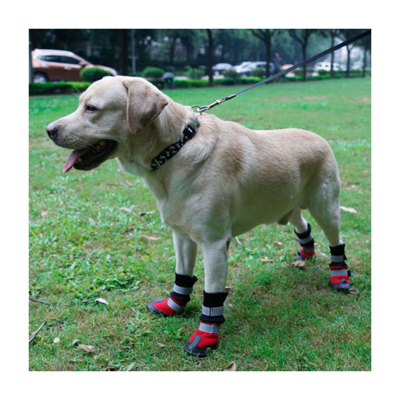 Dog Rain Booties Snow Boots Protective Shoes Dog Rain Booties Size - Image 1