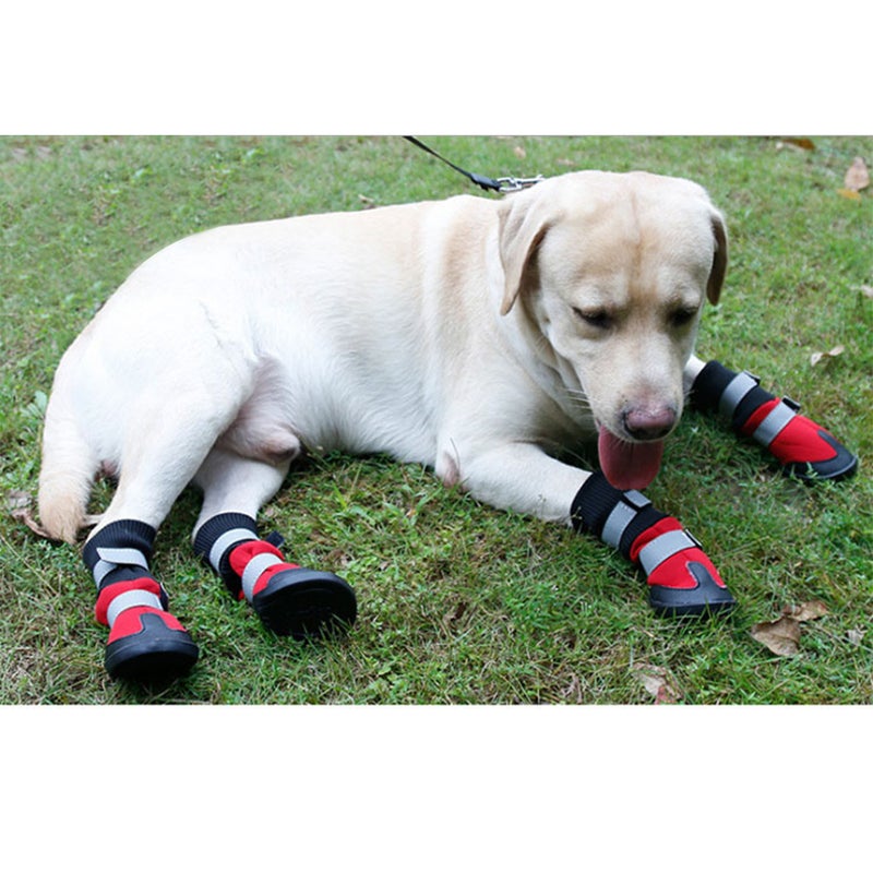 Dog Rain Booties Snow Boots Protective Shoes Dog Rain Booties Size - Image 2