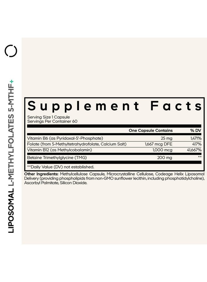 Codeage Liposomal L-Methylfolate 5-MTHF+ - Active Vitamin B9, Methylcobalamin B12, Betaine TMG, B6-2-Month Supply Multivitamins - Liposomal Delivery - Bioavailable B-Vitamin Complex - 60 Capsules - Image 2