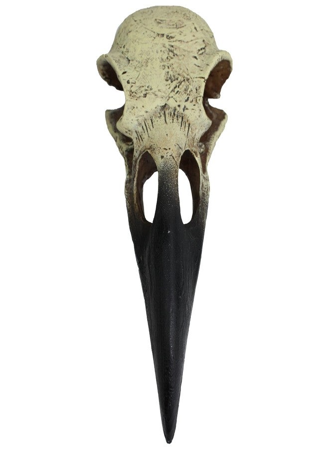 Komodo Reptile Terrarium Realistic Raven Skull Ornament Decor | Easy to Clean Under Water Aquarium or Dry Habitat Decoration Accessory, Large, 8 Inches - Image 4