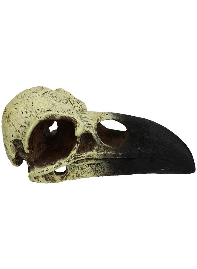 Komodo Reptile Terrarium Realistic Raven Skull Ornament Decor | Easy to Clean Under Water Aquarium or Dry Habitat Decoration Accessory, Large, 8 Inches - Image 3