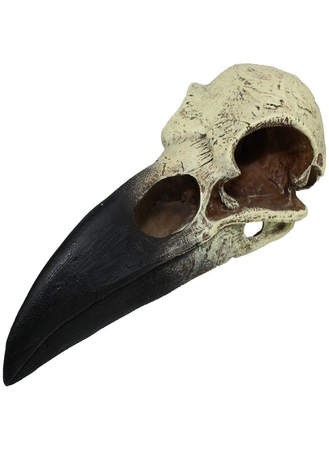 Komodo Reptile Terrarium Realistic Raven Skull Ornament Decor | Easy to Clean Under Water Aquarium or Dry Habitat Decoration Accessory, Large, 8 Inches - Image 1