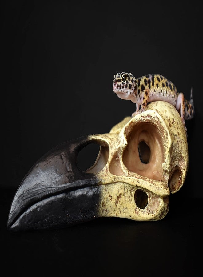 Komodo Reptile Terrarium Realistic Raven Skull Ornament Decor | Easy to Clean Under Water Aquarium or Dry Habitat Decoration Accessory, Large, 8 Inches - Image 2