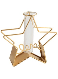 ZCM-HAPPY Creative Home Pentagram Vase With Metal Bracket Home Living Room Desktop Flower Arranger Ornament  - Image 1