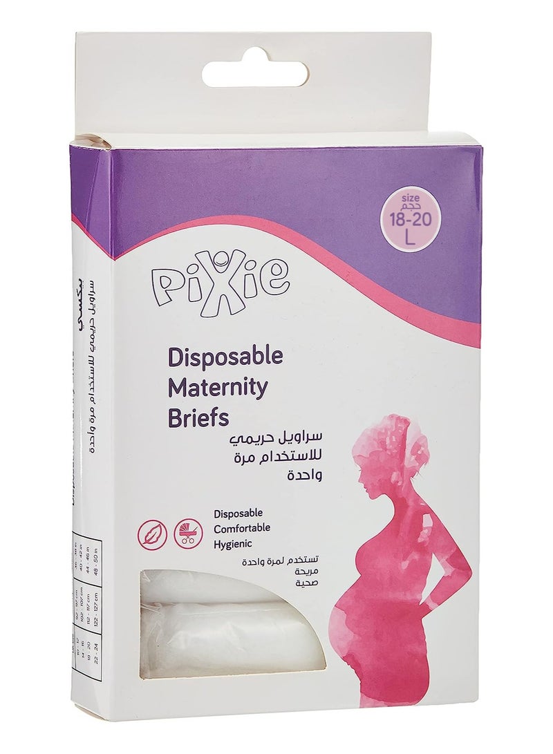 Pixie ملابس الحمل الداخلية للاستعمال مرة واحدة من بيكسي (مقاس 18-20)، قطعة واحدة  - Image 1