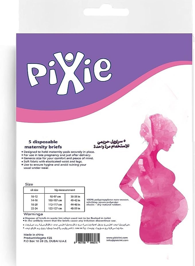 Pixie ملابس الحمل الداخلية للاستعمال مرة واحدة من بيكسي (مقاس 18-20)، قطعة واحدة  - Image 2