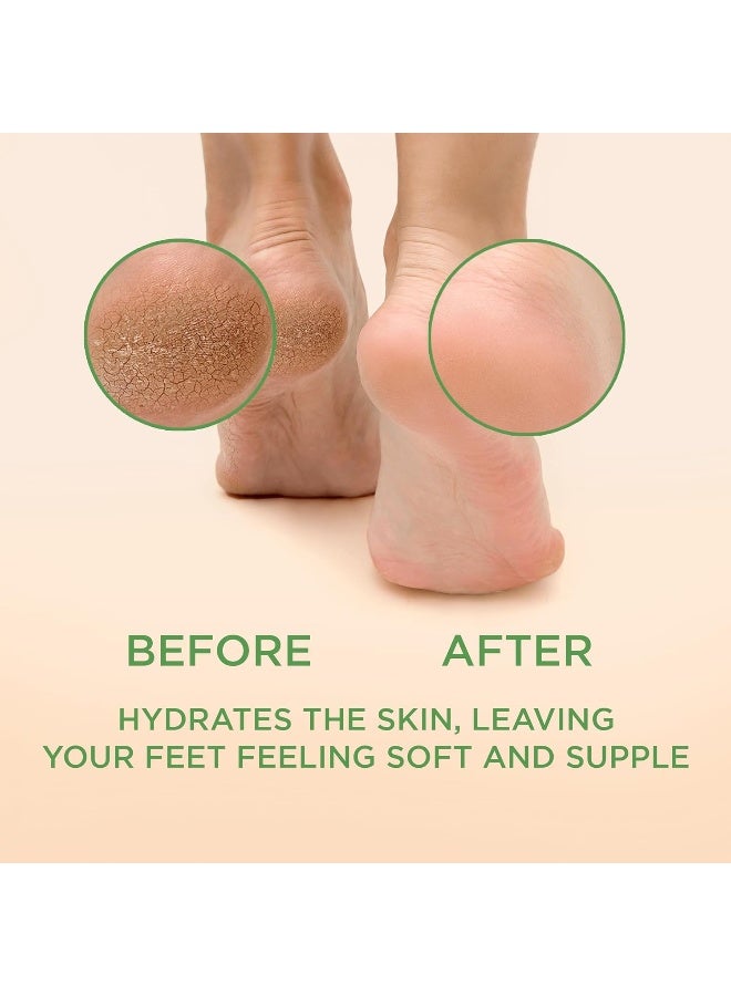 لي بيوتي بروفيشنال مزيل مسامير القدمين - شجرة الشاي، تركيبة قوية - جل فائق القوة، نتائج باديكير منزلي للقدمين - مستلزمات للعناية بالبشرة الجافة والمتشققة - 8 أونصة - Image 2