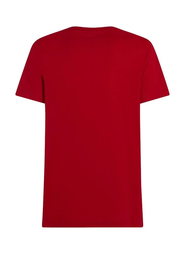 TOMMY HILFIGER Colour To Colour Graphic T-Shirt