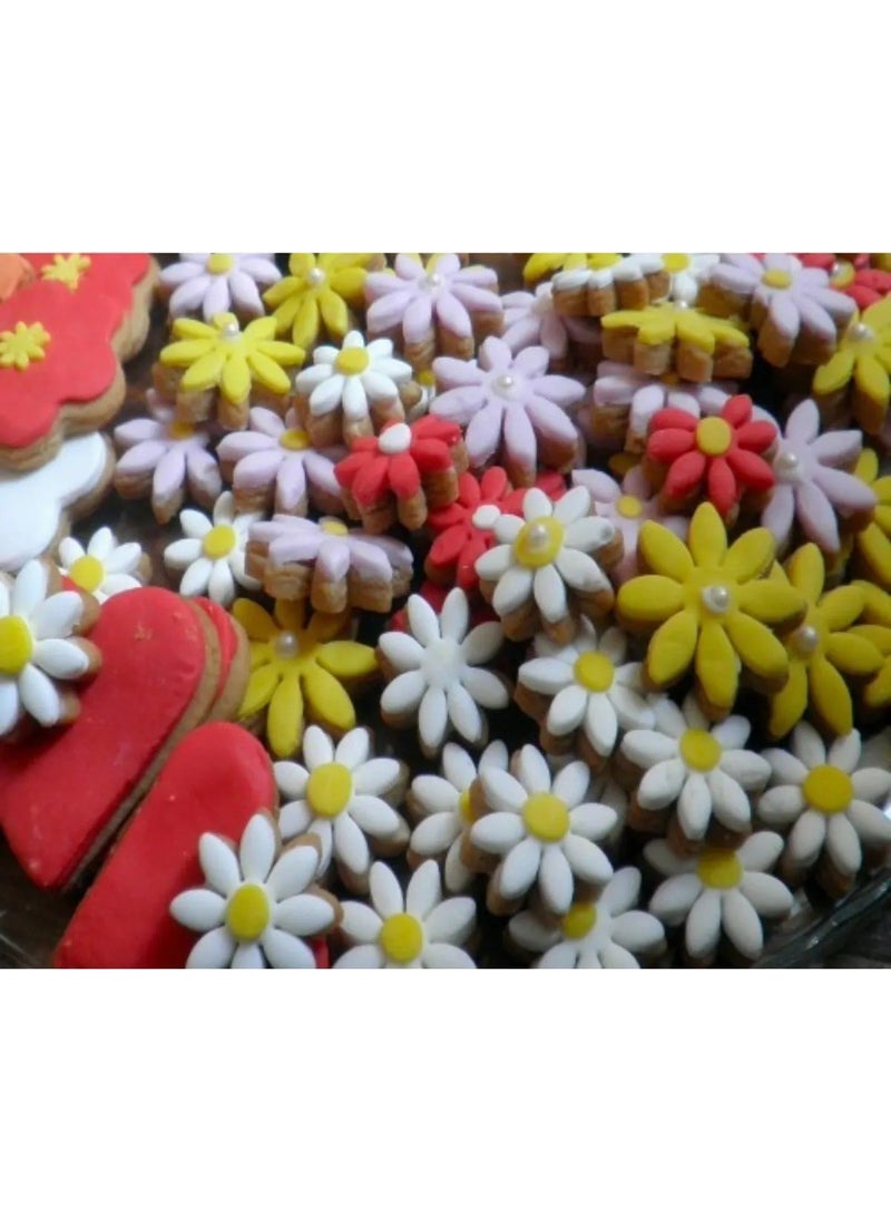 Tinky Winky - Daisy-Flower Themed Push-Up Kopat Set of 4 - Image 1