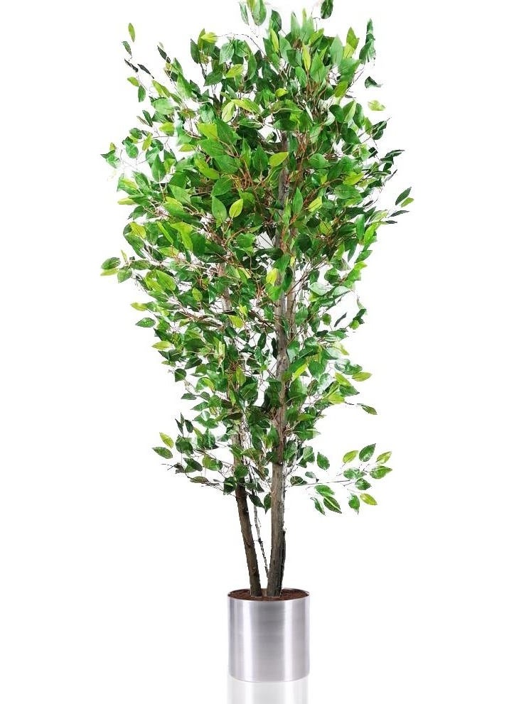 Nettenevime Artificial Tree 3 Trunks Green BENJAMIN190 cm 1st Quality Artificial Flower Decoration - pzsku/ZC78CEF2D99C14072769EZ/45/_/1725723192/2969d3e3-ae29-4f09-a5e7-9a15a77cca13