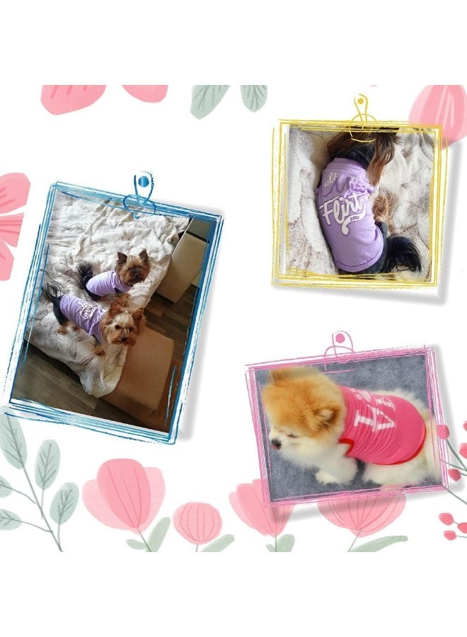 Fancy Paws فستان ملابس فاخرة للكلاب الصغيرة والقطط - قميص وستر للاميرة - حجم S - Image 5