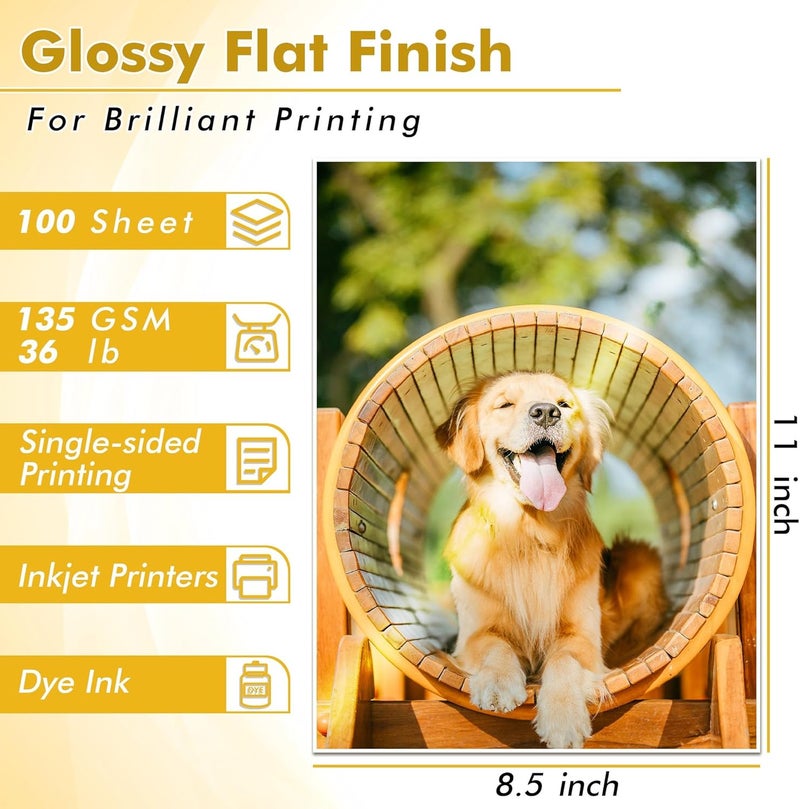 KOALA PAPER Koala Glossy Thin Inkjet Printer Paper for DIY Chip Bag and Print Brochure Flyer 8.5x11 Inches 100 Sheets 36LB for Inkjet Printers Use DYE INK (Pack of 2) - Image 2