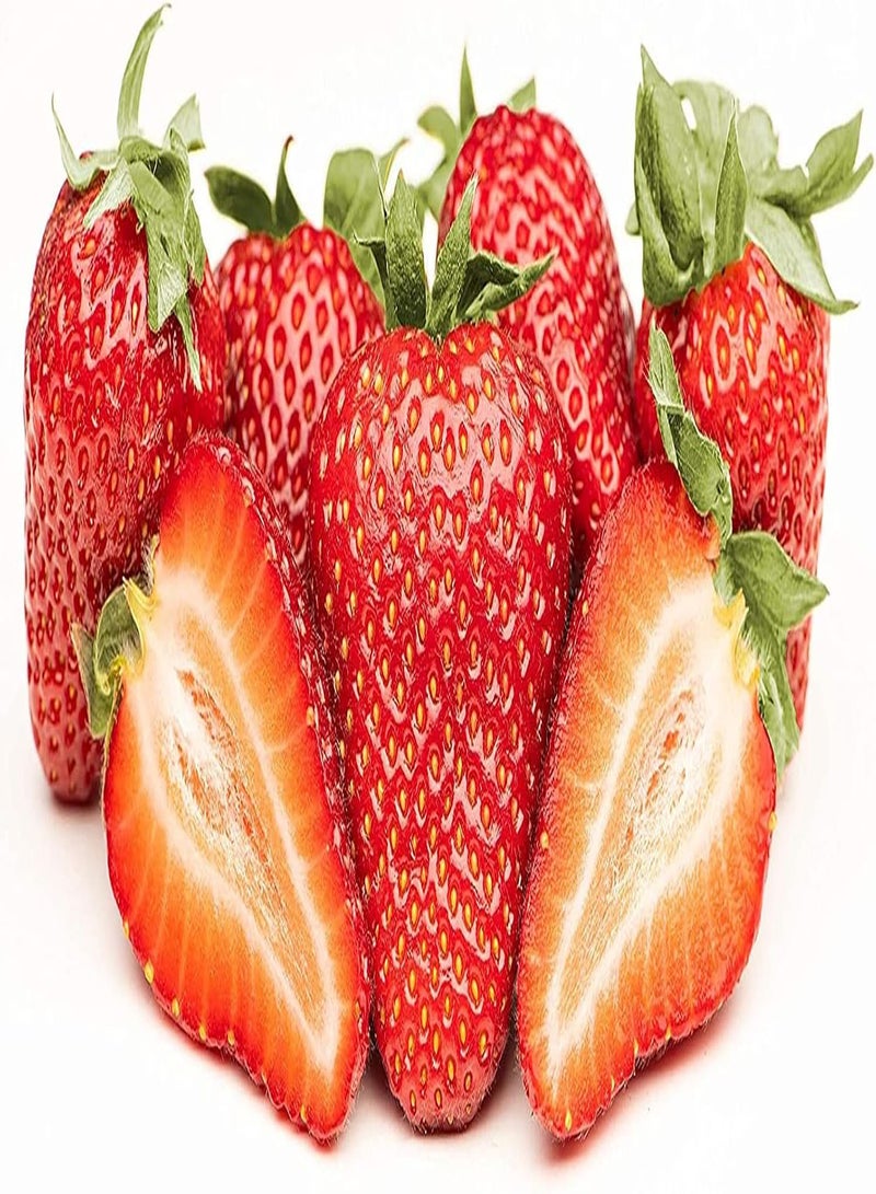 GGOOT 200pcs Red Strawberry seeds Healthy Juicy Fruit Outdoor Planting Fast Growth Easy Maintenance Suitable Beginners Without Much Care - Image 3