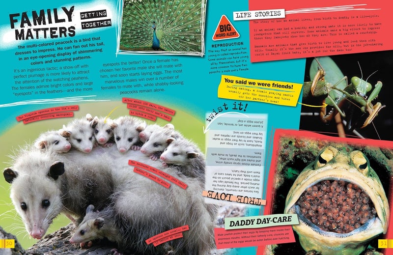 Ripley Twists: Wild Animals Portrait Edn - Image 4