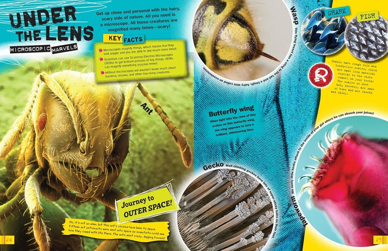 Ripley Twists: Wild Animals Portrait Edn - Image 3