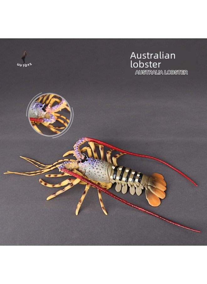 Simulation Marine Animal Model Marine Creatures Children's Toys Turtle Lobster Perch Shrimp Ancient Creatures Golden Dragon Fish-Color:PL127-819 Little Penguin  - Image 5