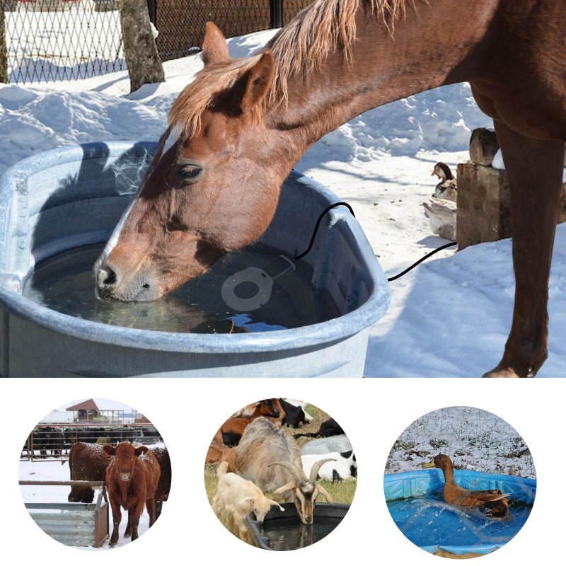 comincia 500W Horse Water Heater, Thermostatic Water Trough Heater for Cattle, Aluminum Cast Submersible Livestock Tank Heater for Large Capacity,Winter Pool Heater for Cows,Goats,Poultry,Wildlife - Image 5