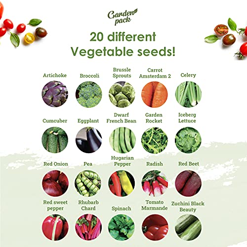 Garden Pack 20 Vegetable Seeds Varieties – High Yield Garden Seeds for Planting Vegetables – Over 8,000 Premium, Non-GMO Heirloom Seed for Outdoor & Indoor Garden - Image 3