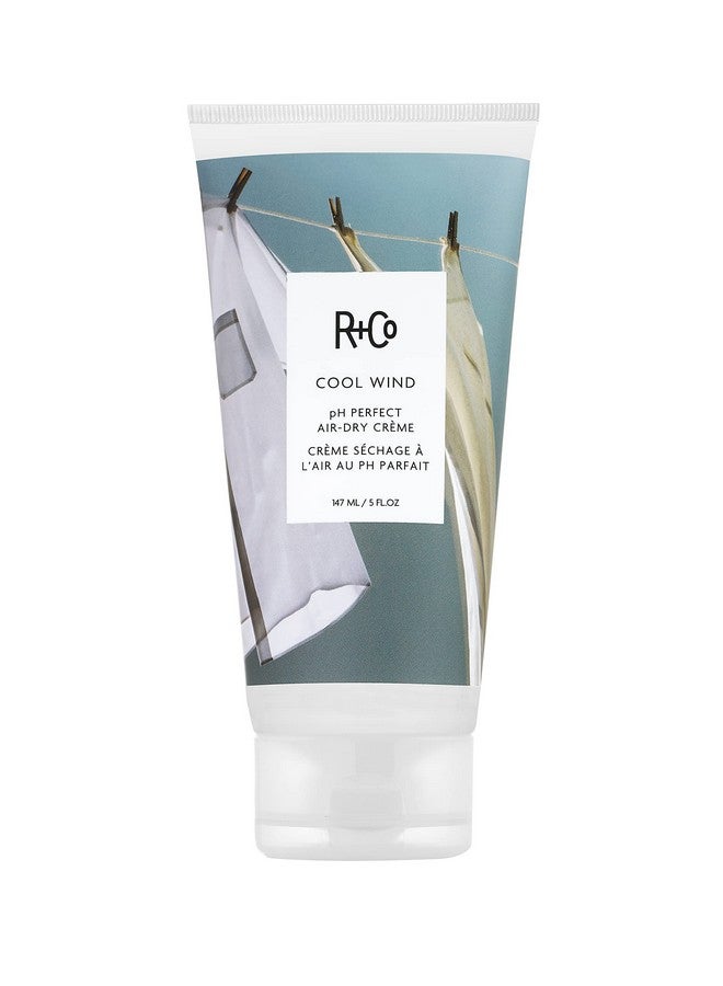 آر+كو كريم R+Co Cool Wind pH Perfect لتجفيف الشعر بالهواء (5 أونصة) | يرطب ويُهدئ ويُنعم الشعر | نباتي وخالٍ من القسوة | - Image 1