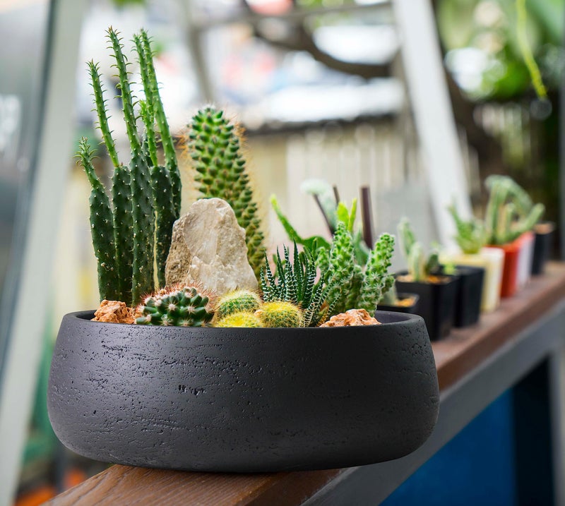 Olly & Rose Copenhagen Large Ceramic Planter Bowl Shallow Plant Pot - Matt Black Flower Pot Indoor and Outdoor Garden Décor… - Image 2