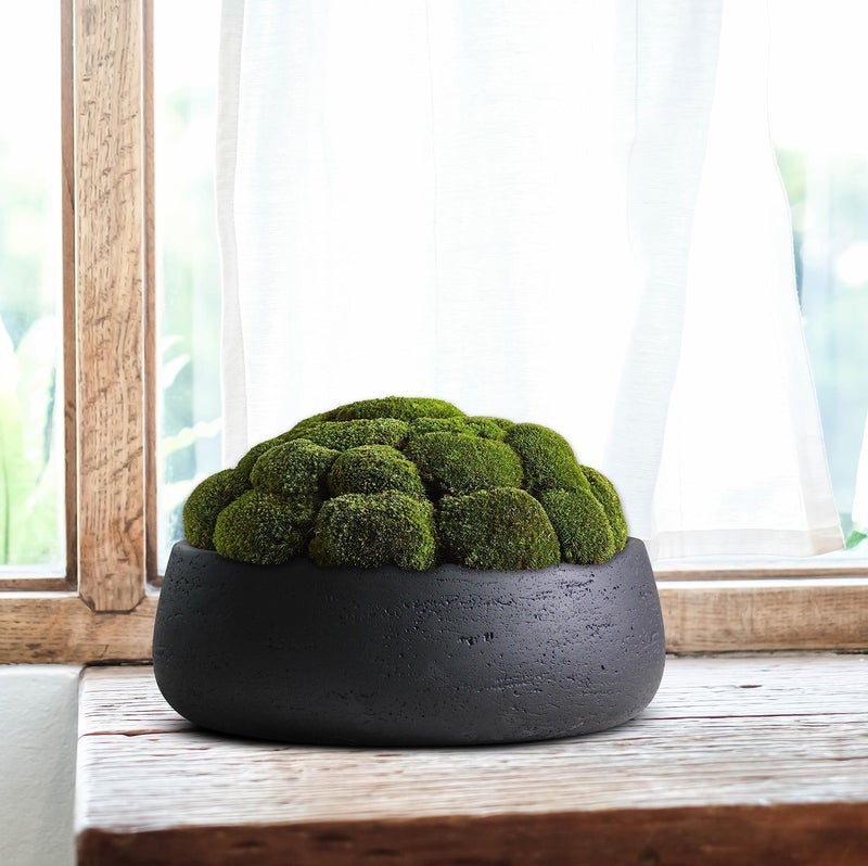 Olly & Rose Copenhagen Large Ceramic Planter Bowl Shallow Plant Pot - Matt Black Flower Pot Indoor and Outdoor Garden Décor… - Image 3