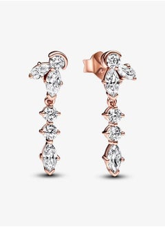 PANDORA Sparkling Herbarium Cluster Drop Earrings  - Image 1