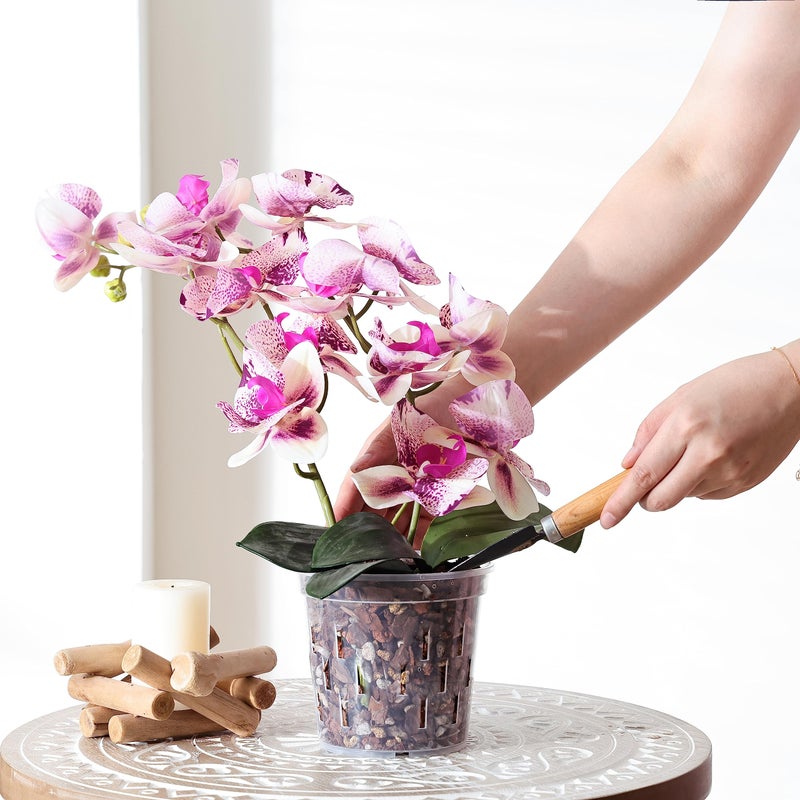 TRUEDAYS Orchid Pot â€“ 4 Pack 5 Inch Clear Orchid Pots with Drainage Holes for Repotting â€“ Ideal for Healthy Root Growth â€“ Sturdy Plastic Plant Pot for Indoor & Outdoor Plants - Image 5