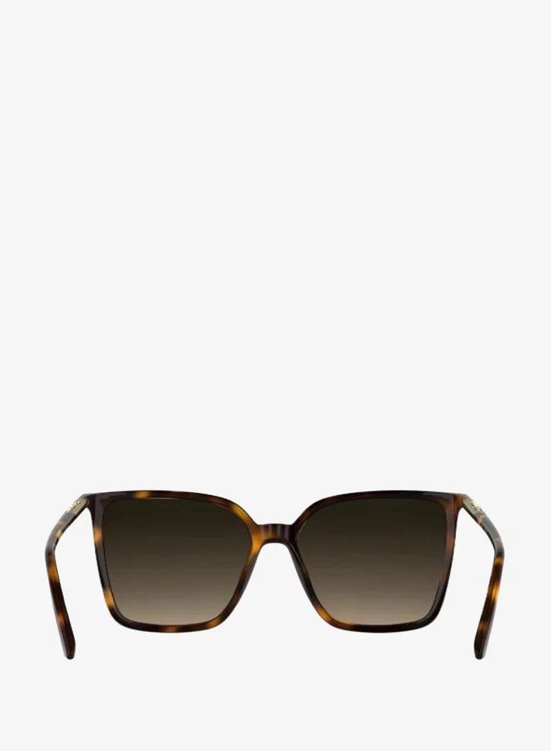 Calvin Klein Butterfly Sunglasses