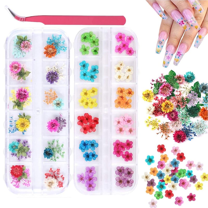 Kissbuty 2 Boxes Dried Flowers for Nail Art, KISSBUTY 24 Colors Dry Flowers Mini Real Natural Flowers Nail Art Supplies 3D Applique Nail Decoration Sticker for Tips Manicure Decor (Gypsophila Flowers Daffodil)