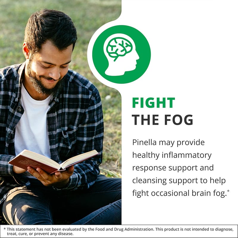 NutraMedix Pinella  Liquid Anise Drops to Help Support Detox Cleansing Concentration  Brain Health  Pimpinella Anisum Extract May Help to Fight Occasional Brain Fog 1 oz  30 ml - Image 3