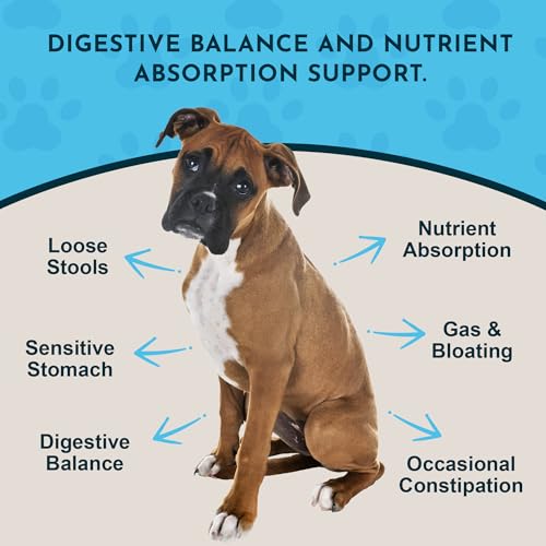 Animal Essentials Plant Enzyme & Probiotics for Dogs & Cats - Digestive Enzymes for Dogs, Probiotic Powder, Digestive Supplement, No Preservatives, Veterinarian Recommended - 3.5 Oz - Image 2
