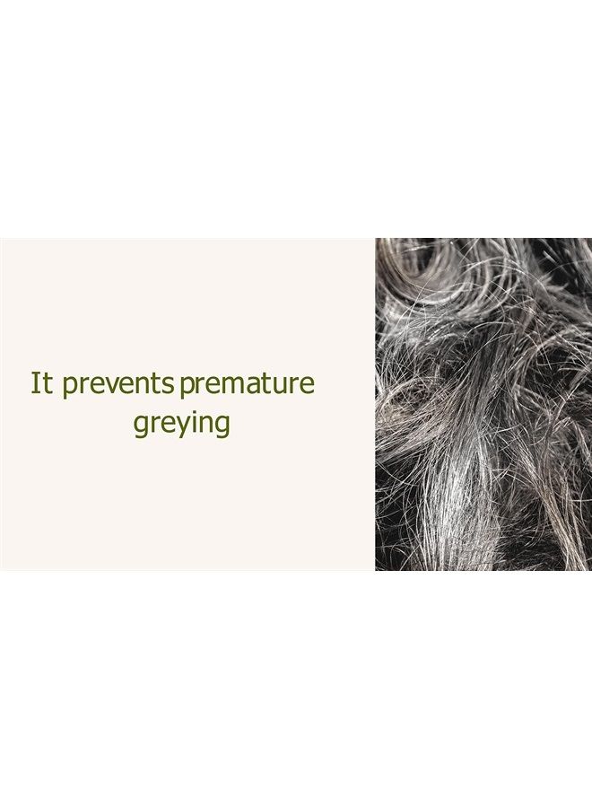 Yauvanya مسحوق الأملا النقي (التوت الهندي - غني جداً بفيتامين C) للشعر والبشرة 300 جرام - 3 عبوات من 100 جرام لكل منها - Image 3