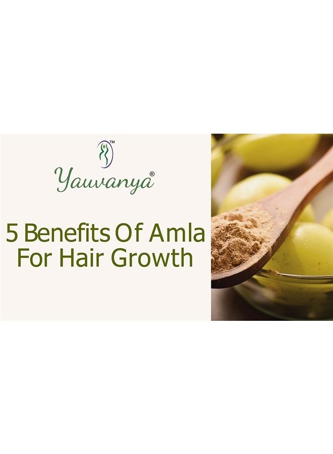 Yauvanya مسحوق الأملا النقي (التوت الهندي - غني جداً بفيتامين C) للشعر والبشرة 300 جرام - 3 عبوات من 100 جرام لكل منها - Image 2