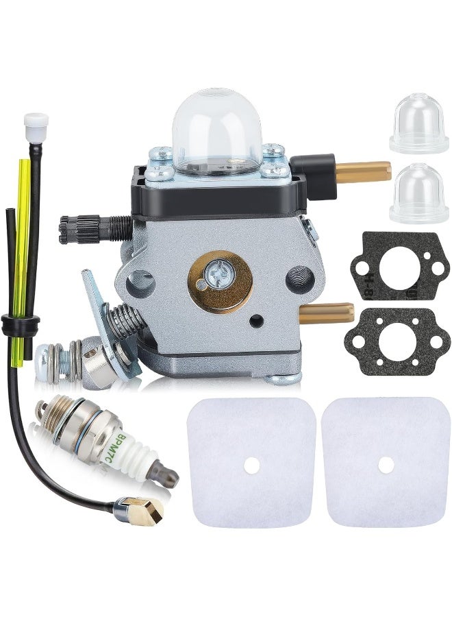 Hipa C1U-K54A Carburetor for Mantis Tiller - Image 1