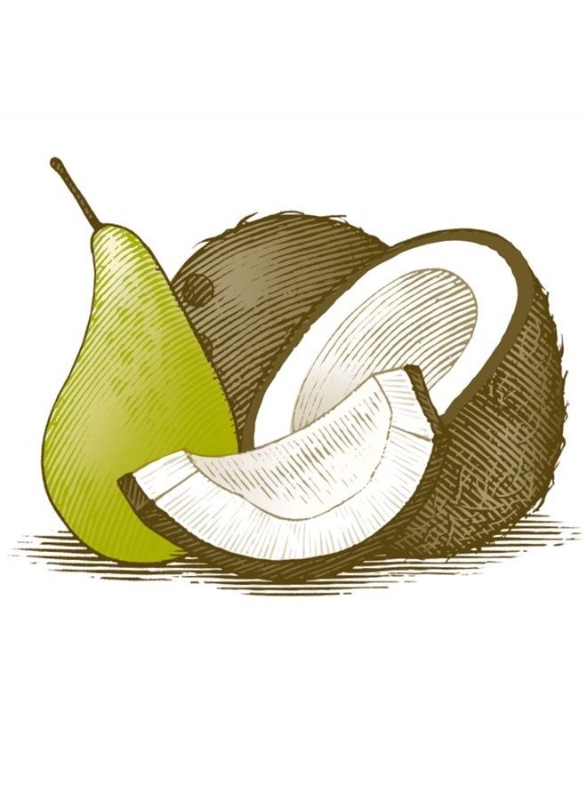 Burt's Bees Lip Balm, Moisturizing Lip Care, 100% Natural, Coconut & Pear (2 Pack) - Image 4