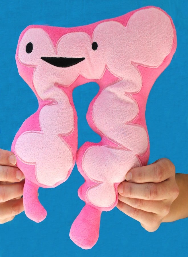 I Heart Guts Colon Plush - You Move Me - 11" Gift for Surgery Recovery, Get Well, Cancer Support, Funny,IBS, IBD, Colitis - Image 5
