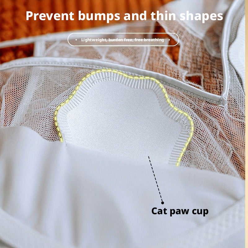 Sexy Sheer Mesh Lace Bra Cat Paw Cup Backless Lingerie Set - Image 4
