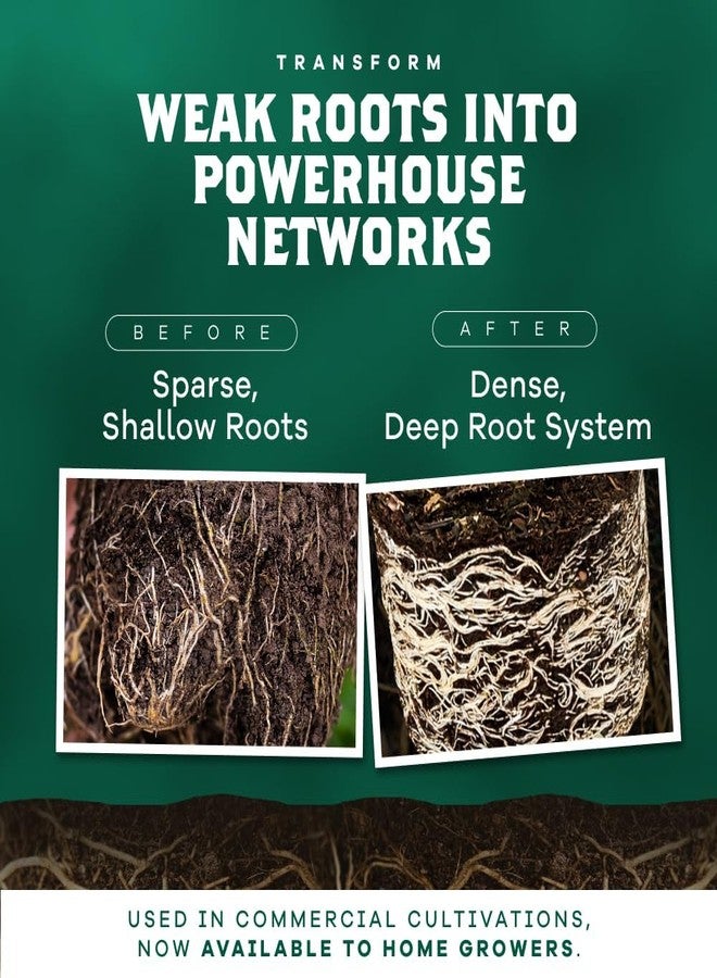 DYNOMYCO Mycorrhizal Inoculant - Plant Growth & Root Treatment - Concentrated Mycorrhiza Formula - Boosts Nutrient - Mycorrhizae Plant Food for Resilience, Root Strength & Fertilizer (100g / 3.5oz) - Image 3