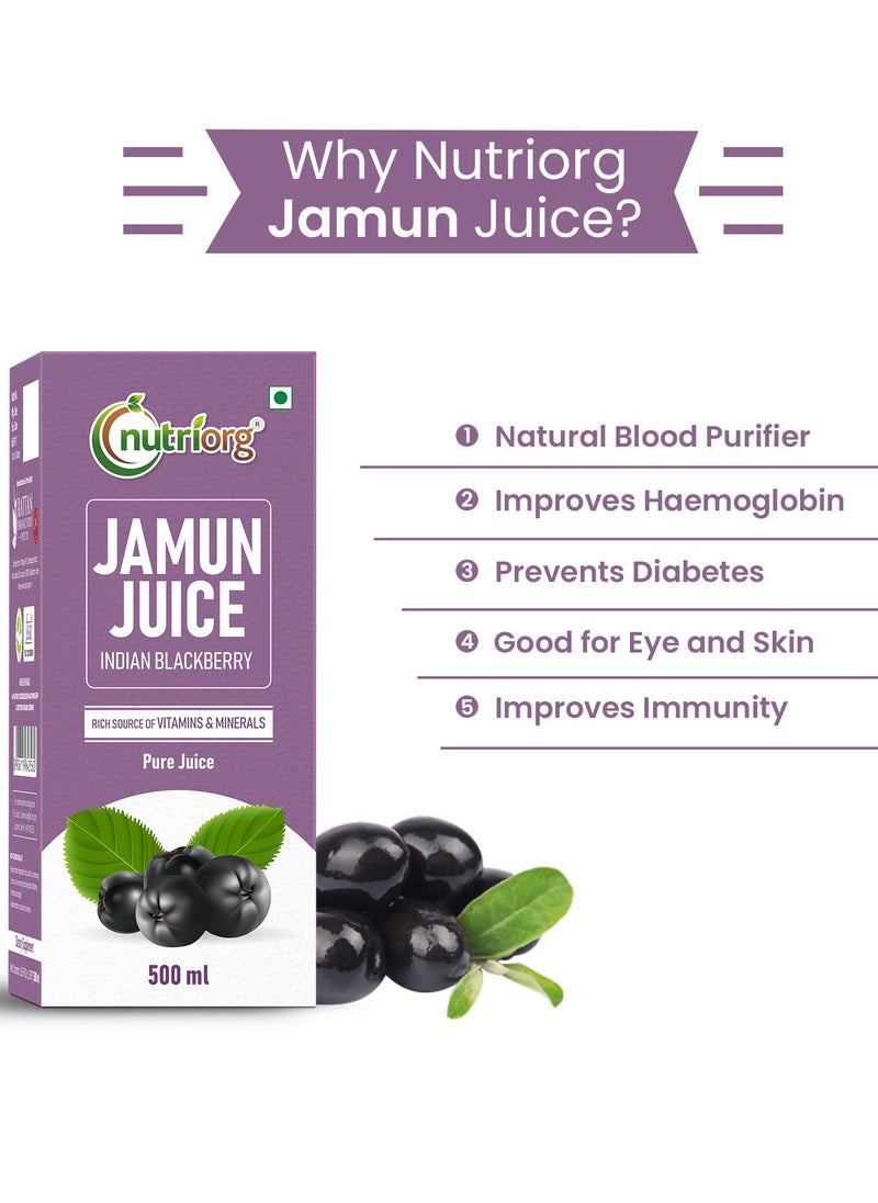 nutriorg Pack Of 2 Karela and Jamun Juice 500ml  - Image 3