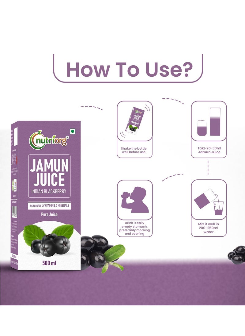 nutriorg Pack Of 2 Karela and Jamun Juice 500ml  - Image 2